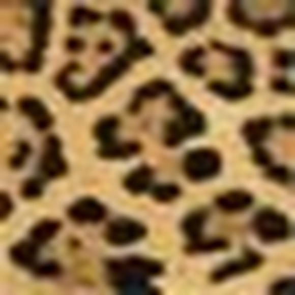 Meet your Posher, Anne - Picture 1 of 1